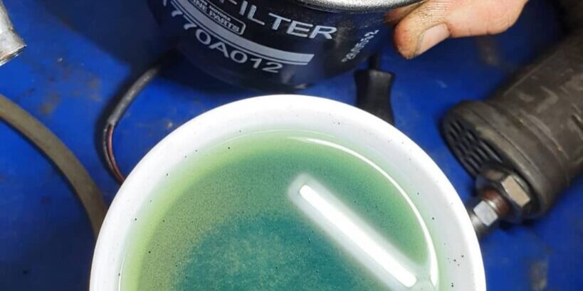 167948799_3834438373314861_5259254479970862602_n