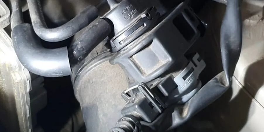 339734039_189149400542953_5457473325608314838_n