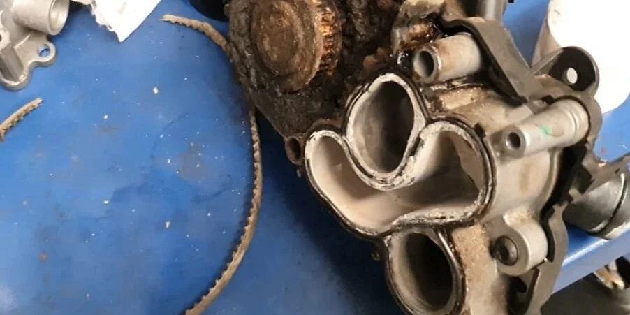 347433352_273660198434241_6153319825494156467_n